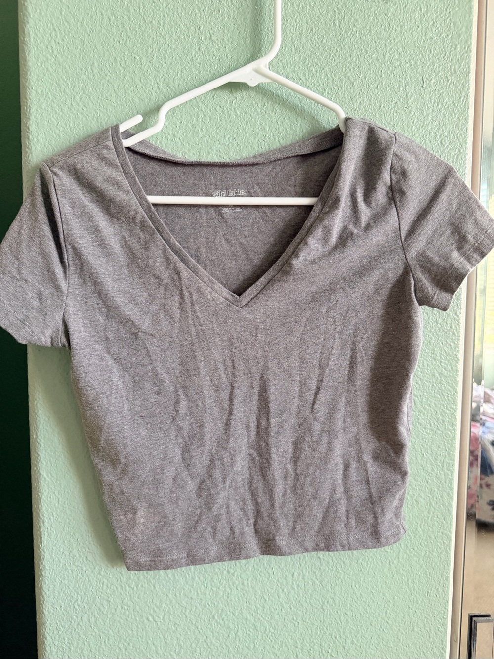 wild fable Gray V-Neck Crop Top